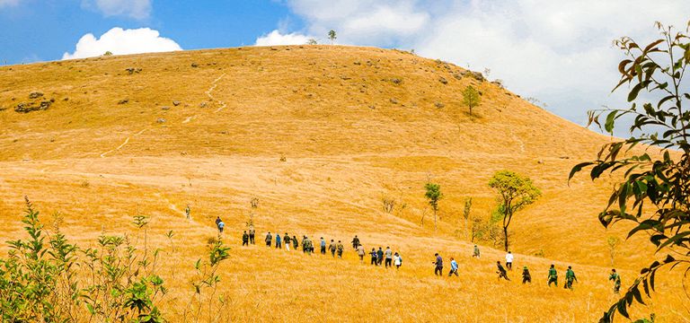 វាលស្មៅបៃតងស្រស់ប្រែជាពណ៌មាសបង្កើតបានទិដ្ឋភាពប្លែកភ្នែកលើភ្នំខ្នងផ្សារ
