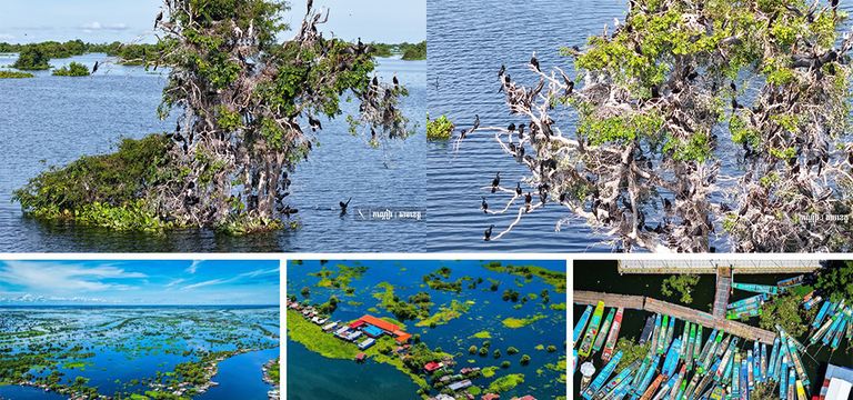 ភូមិព្រែកទាល់ ទីឋានគយគន់សត្វស្លាបរាប់រយប្រភេទ អមដោយផ្ទះបណ្ដែតទឹករាប់រយ