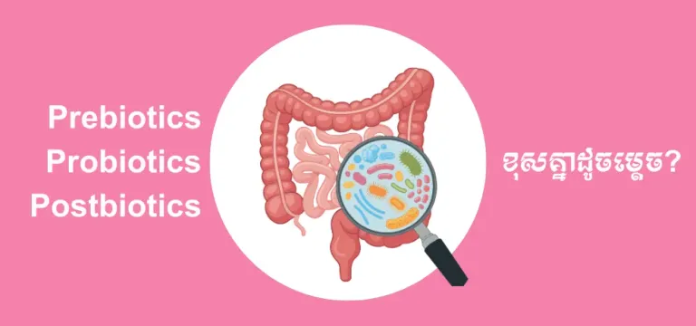 ឈ្មោះស្រដៀងគ្នា តែ Prebiotics Probiotics និង Postbiotics ខុសគ្នាដូចម្ត៉េច?